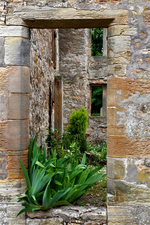 Window Medieval