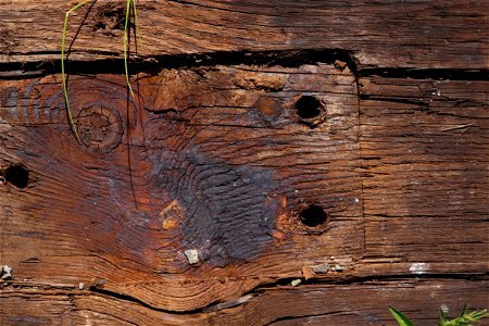 Wood Planks Old