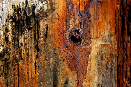 Wood Planks Old