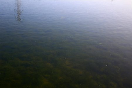 Water Freshwater photo
