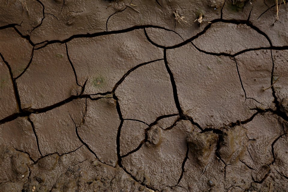 Soil Cracked photo