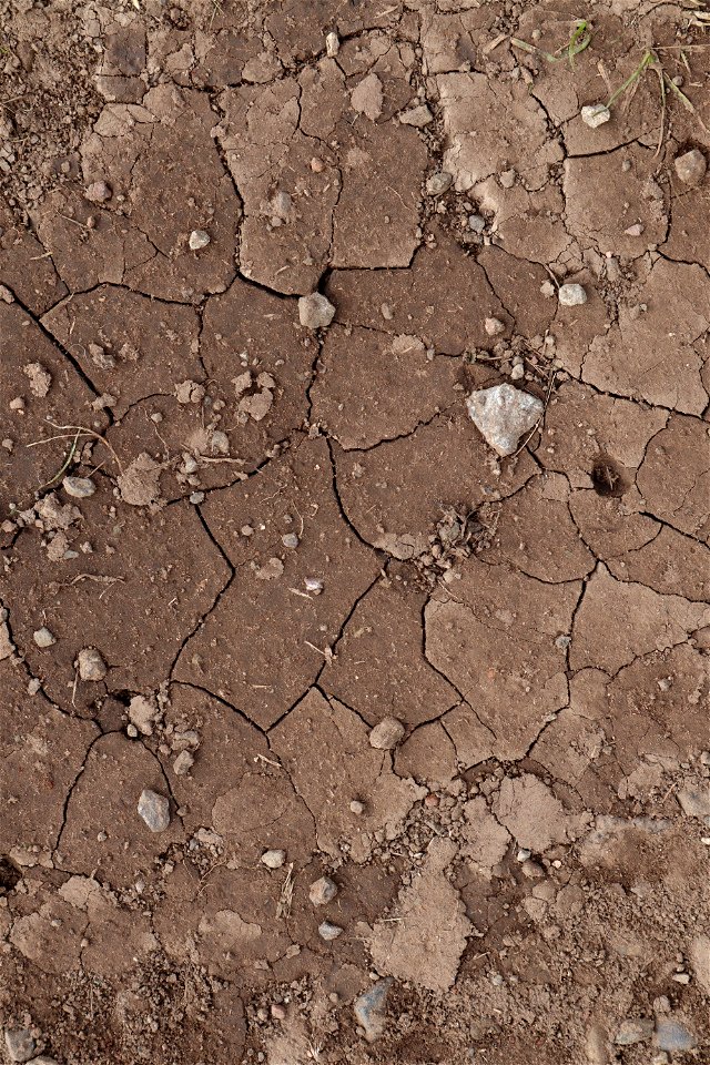 Soil Cracked