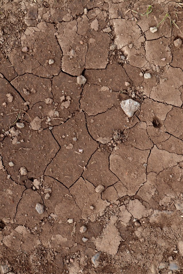 Soil Cracked photo