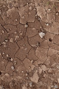 Soil Cracked photo