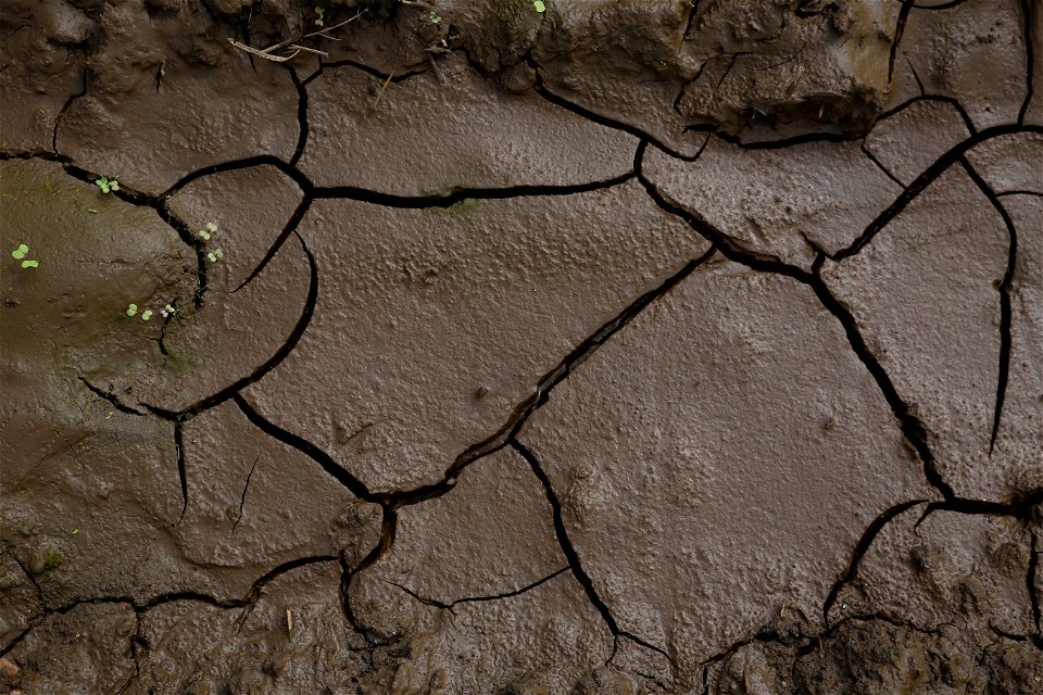 Soil Cracked photo