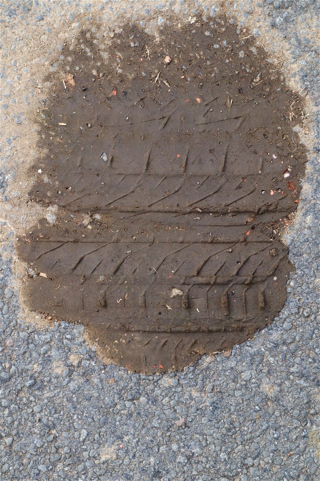 Tyre Tracks photo