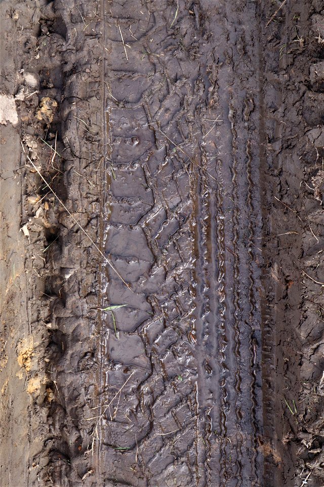 Tyre Tracks