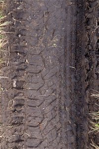 Tyre Tracks