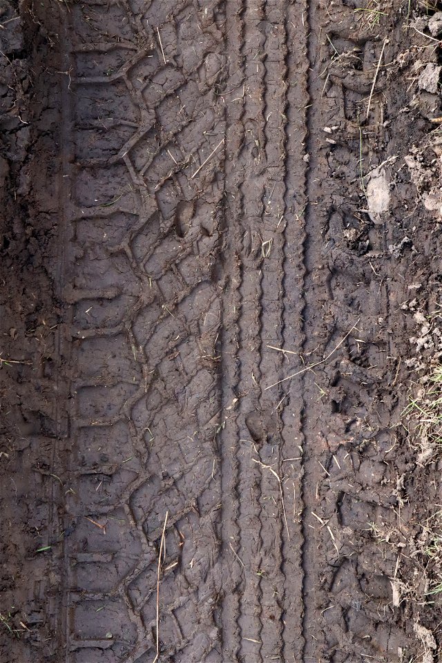 Tyre Tracks photo