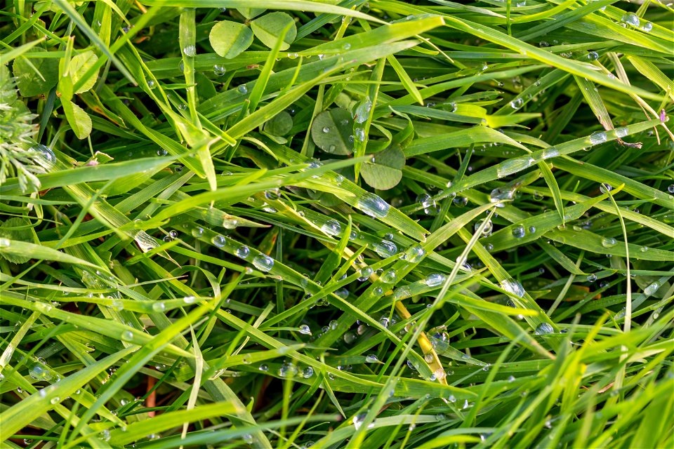 Water Waterdrops