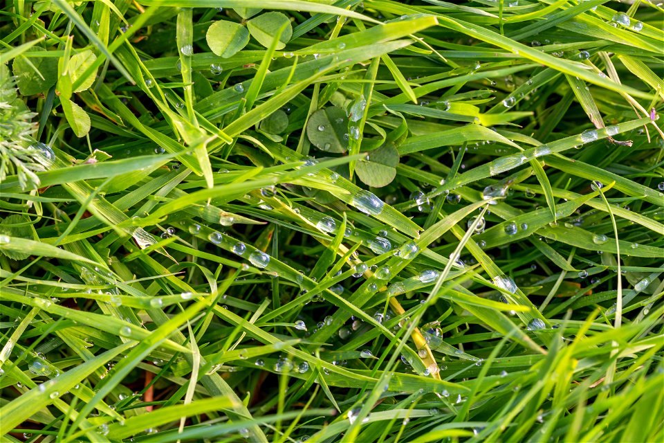 Water Waterdrops photo