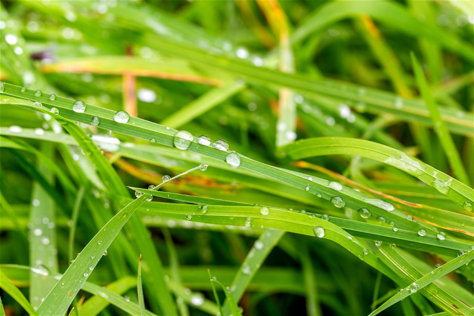 Water Waterdrops