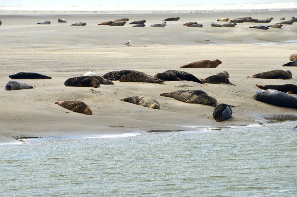 Bay of authie hauts de france resort