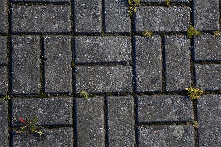 Tiles Outdoor