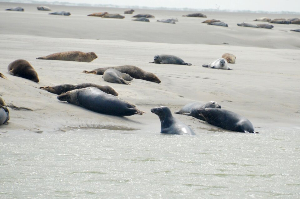 Bay of authie hauts de france resort