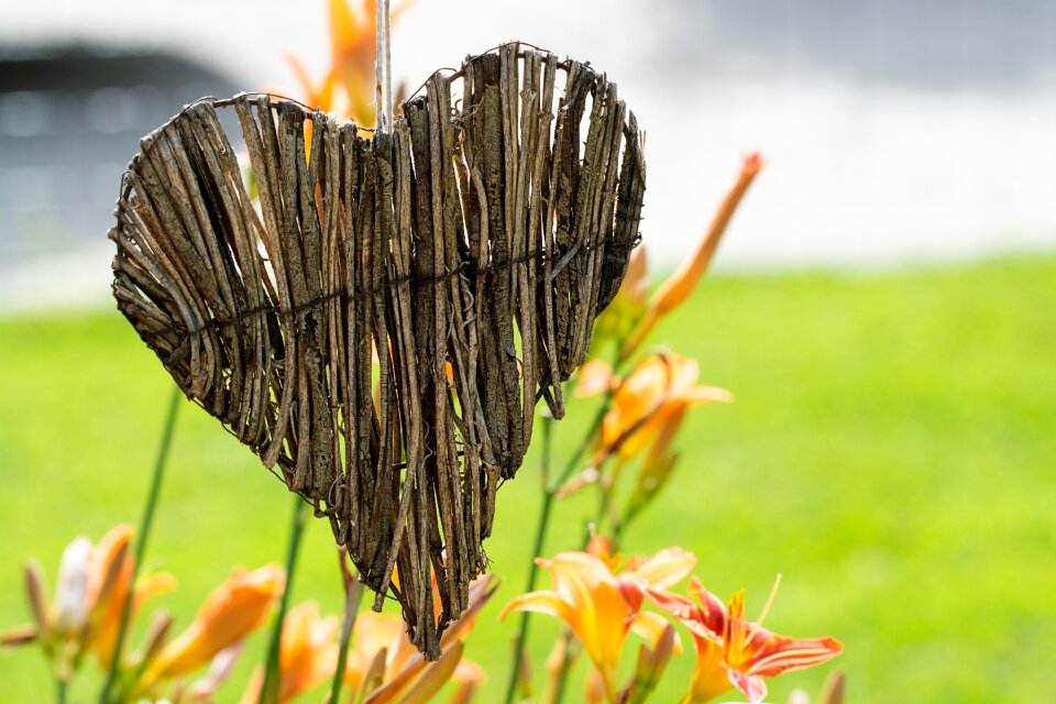 Garden in the garden willow heart