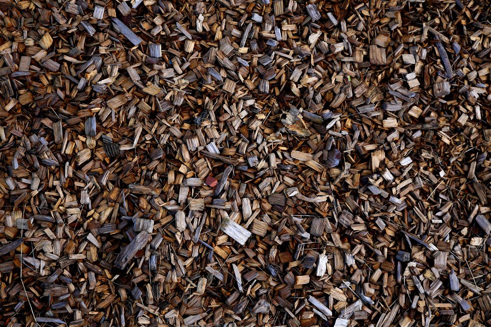 Debris Wood Chips photo