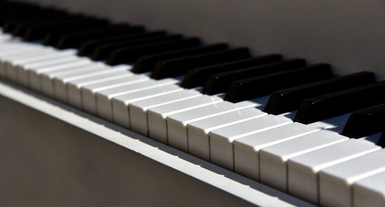 Music white keyboard instrument photo