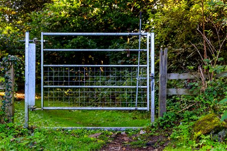 Fence Metal Gate photo