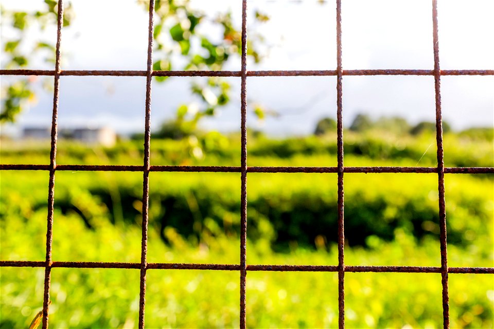 Fence Metal photo