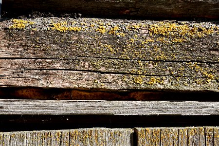 Wood Planks Old