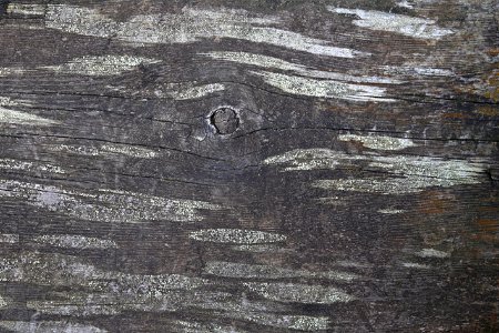 Wood Planks Old