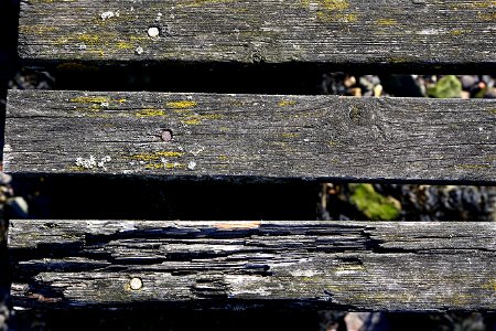 Wood Planks Old
