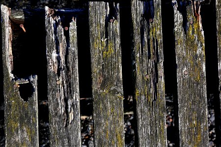 Wood Planks Old