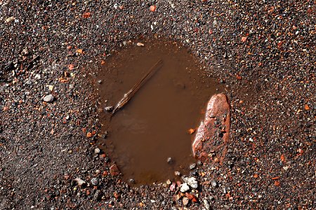 Water Puddle photo