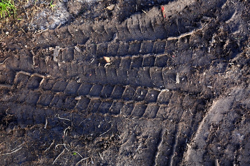 Tyre Tracks photo