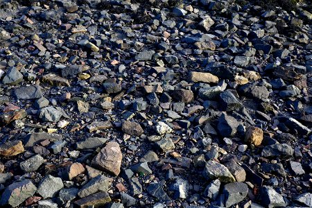 Sea Pebble photo