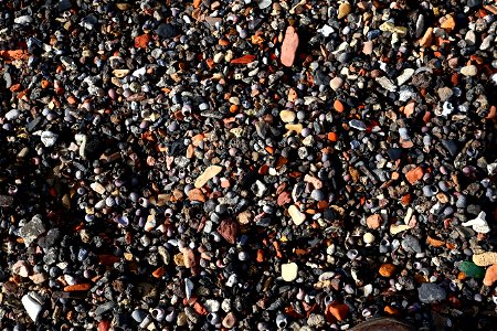 Sea Pebble photo