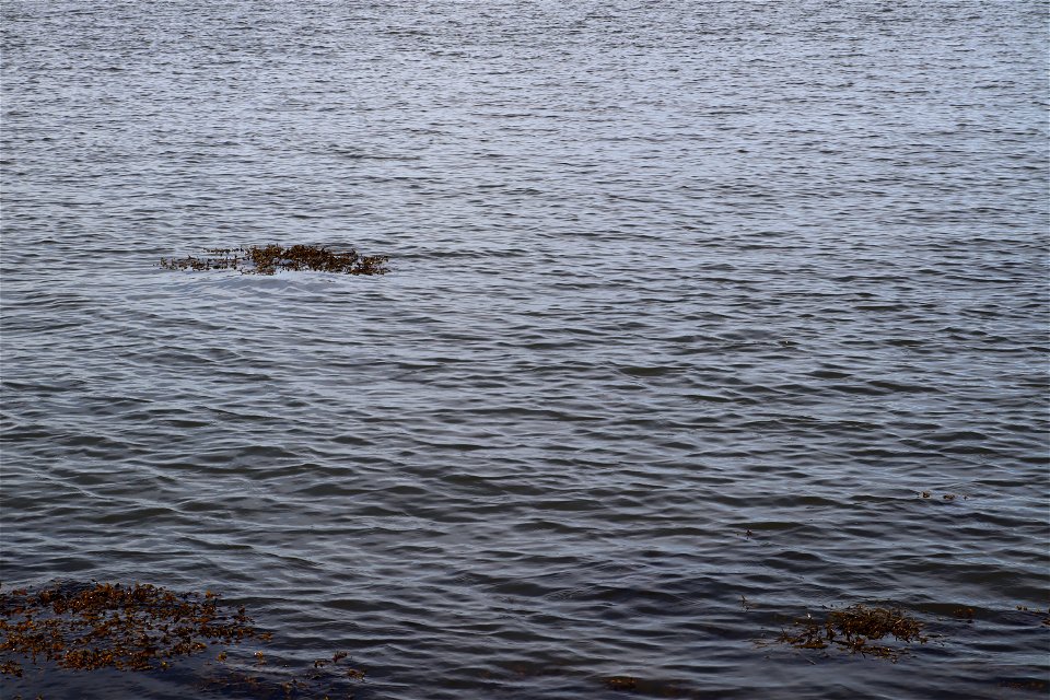 Water Sea photo