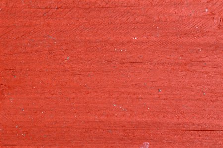 Wood Planks New