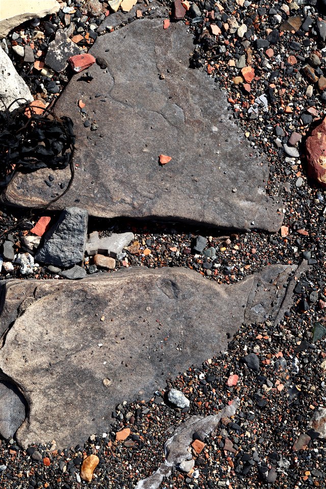 Debris Seaside