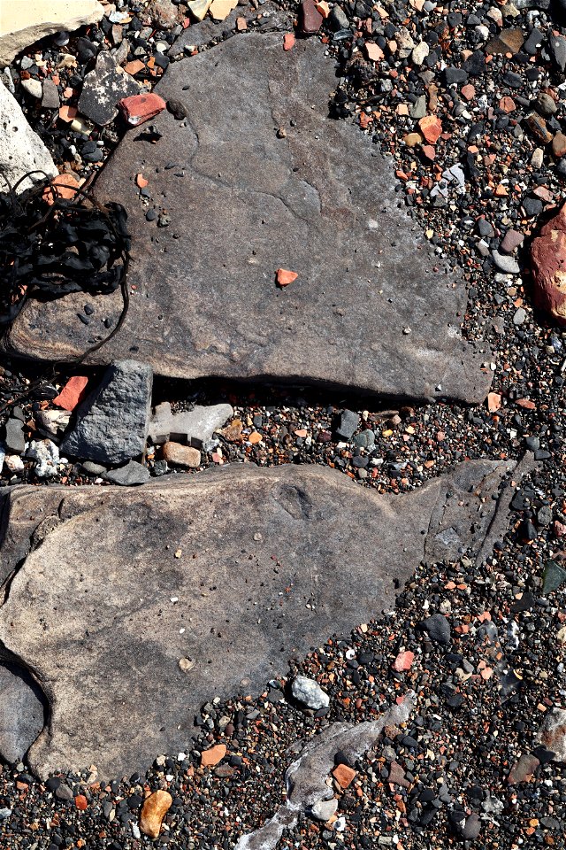 Debris Seaside photo