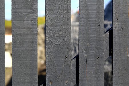 Wood Planks New