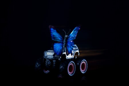 Insect butterfly auto