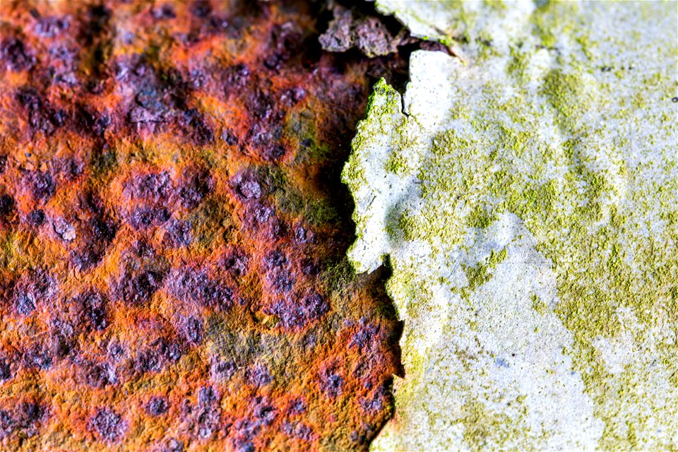 Rust Painted photo