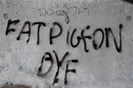 Graffiti photo