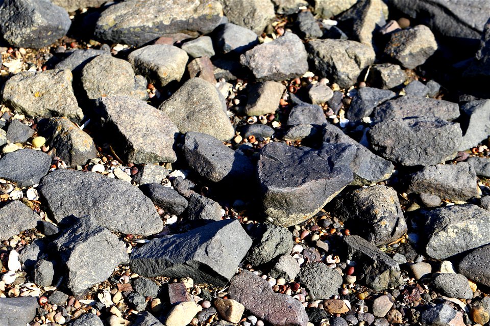 Sea Pebble photo