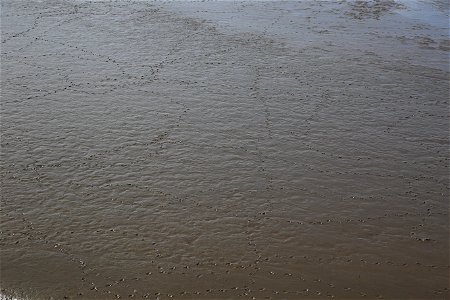 Sea Mud photo