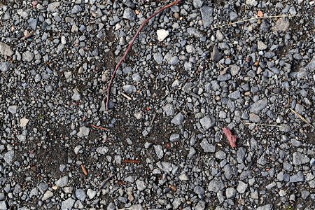 Soil Gravel