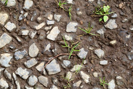 Soil Gravel photo