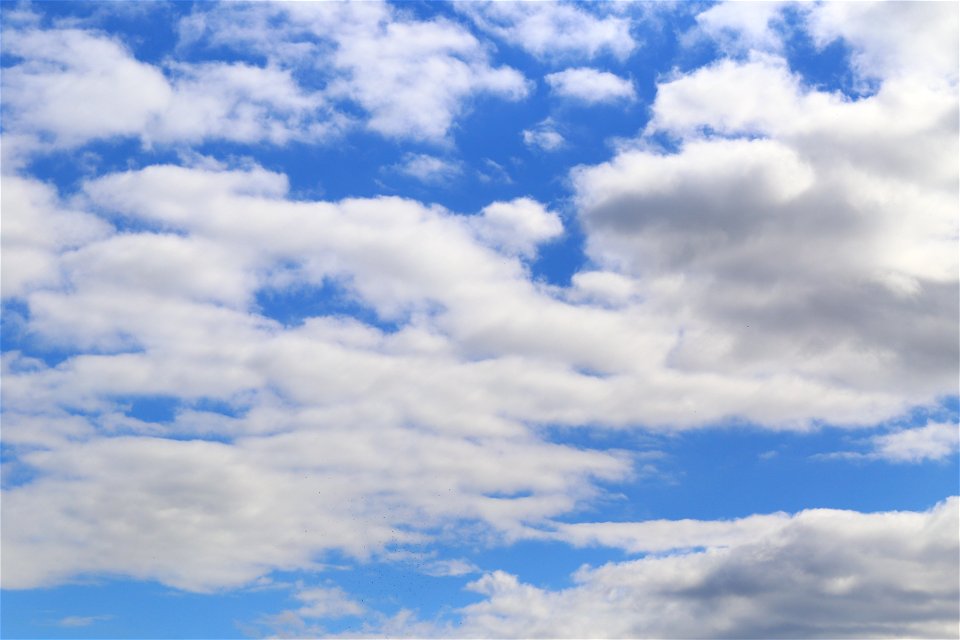 Sky Blue White Clouds photo