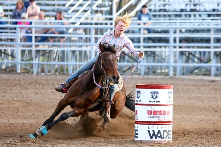 Western animal co photo