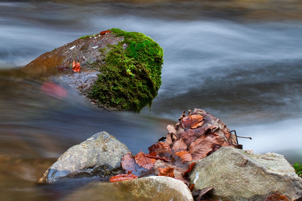 Long exposure autumn stone in the water