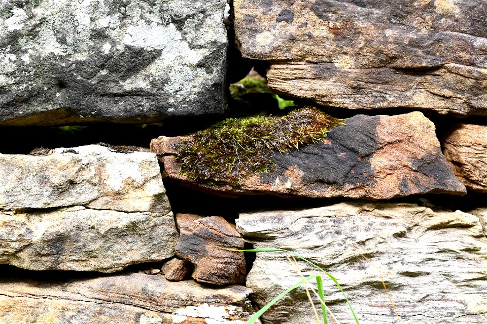 Wall Stone photo