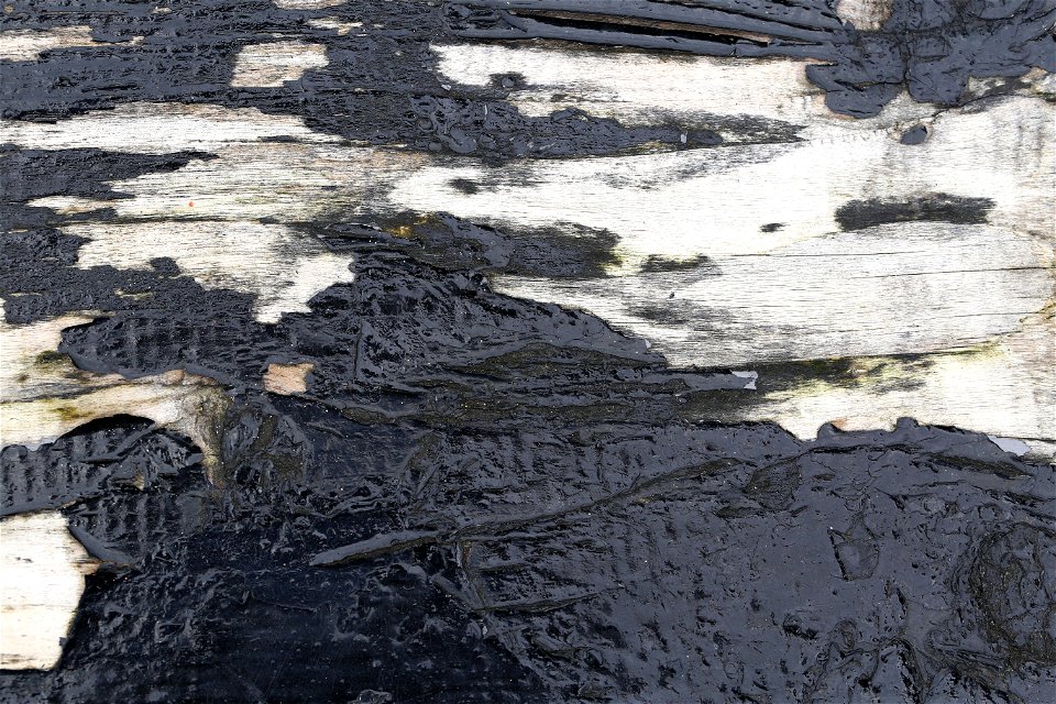 Wood Planks Old