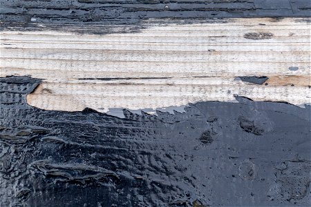 Wood Planks Old